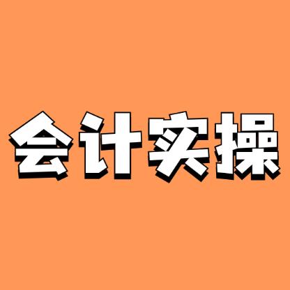 厚启会计实操