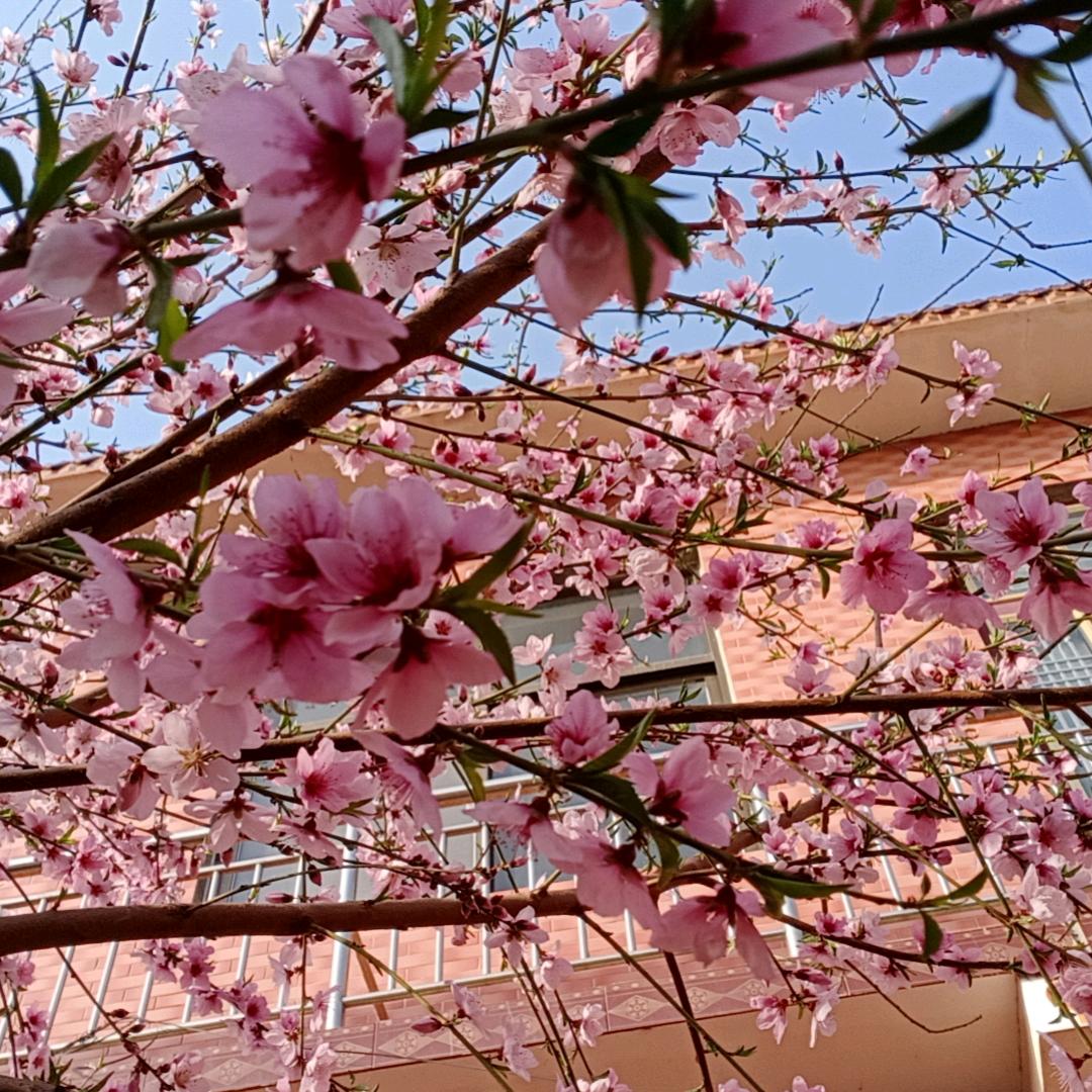 稻草人_256478086