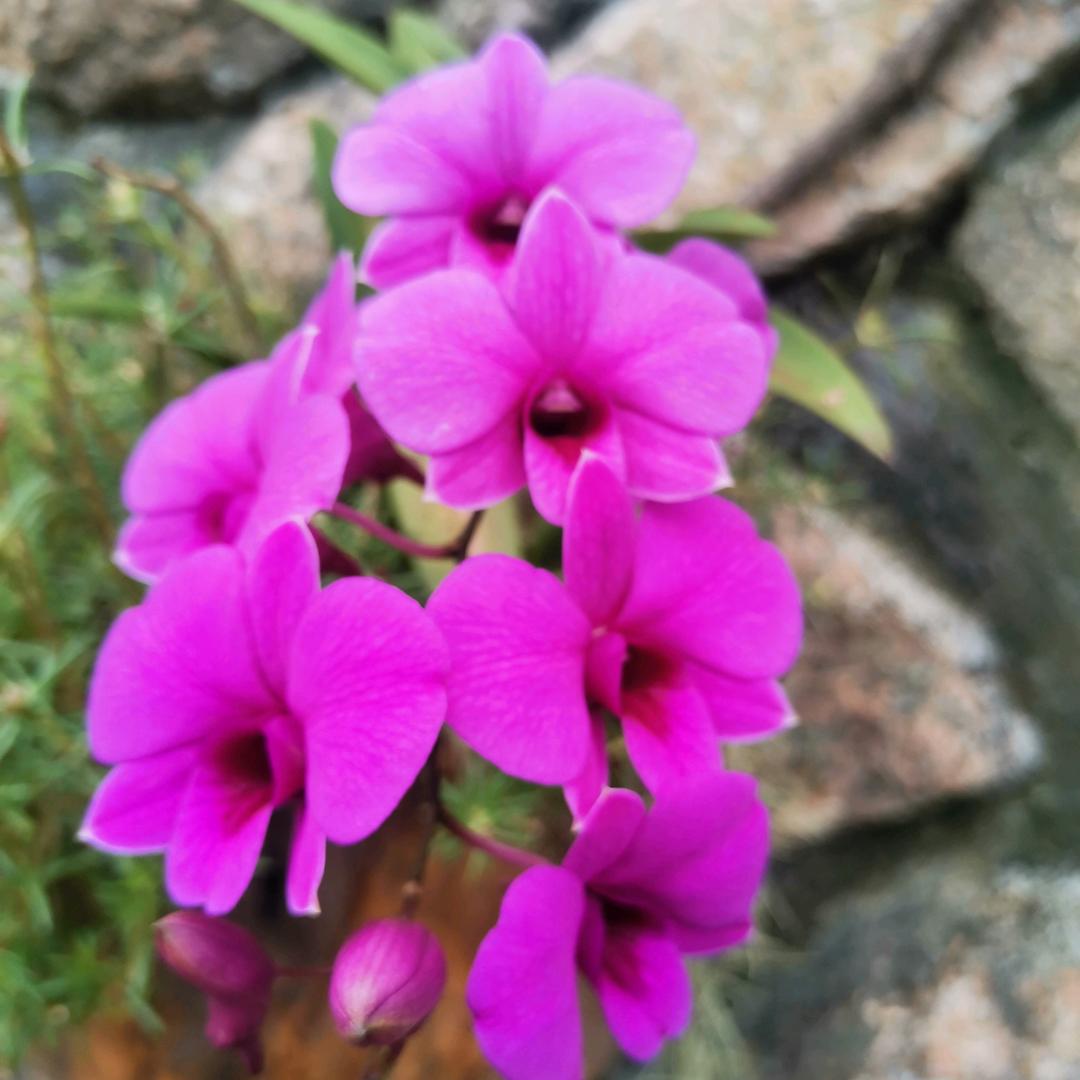 默默😊😊😊😊