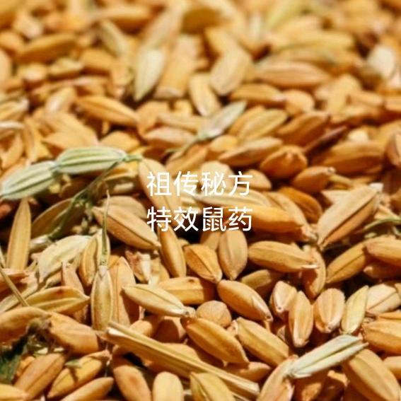 除四害灭鼠公司