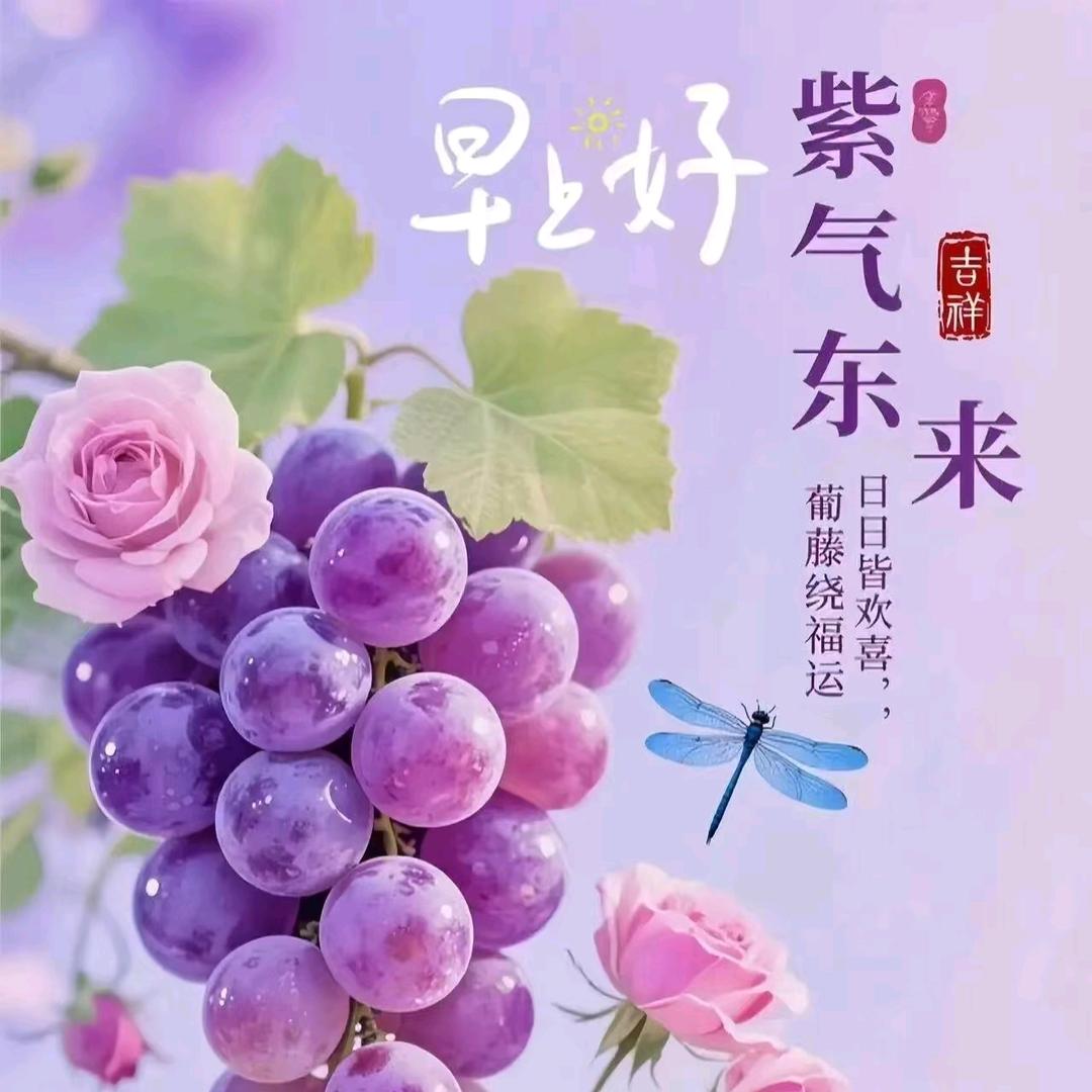 我是小诺