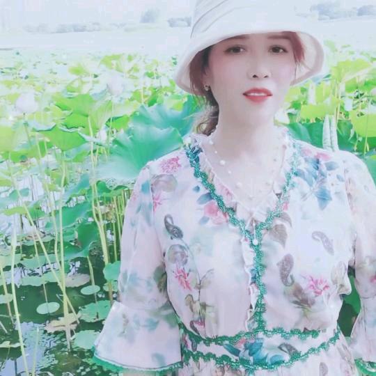 夏荷（每周五晚7：30）开播一次