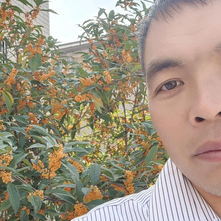 夜深的酒不如清晨的周