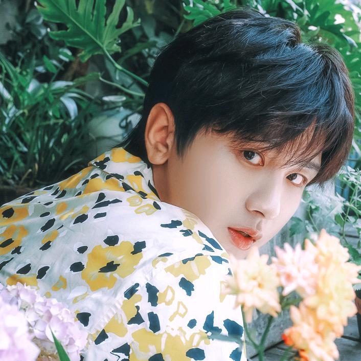 哥哥的果果-七七🥝