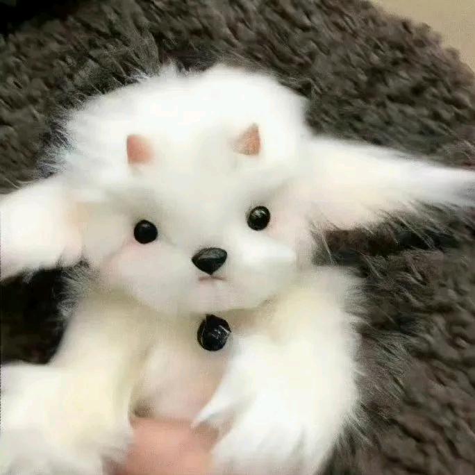 此心常以怒留人