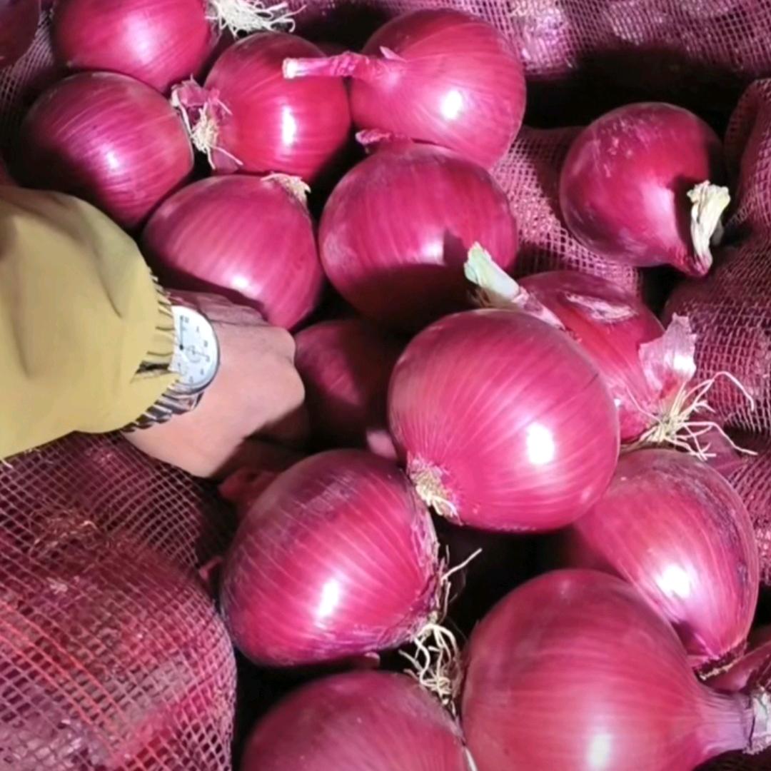 没文化的茄子🧅