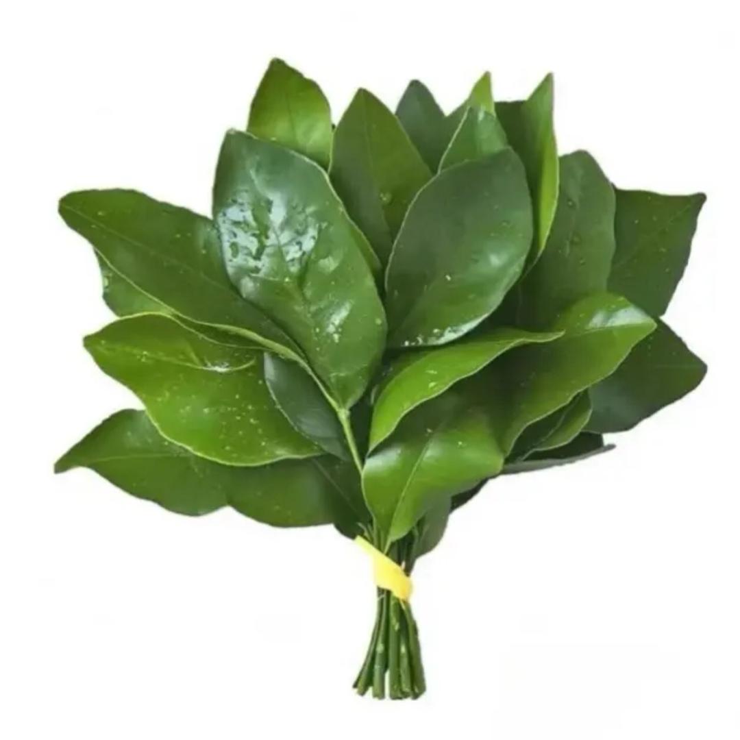 来好运