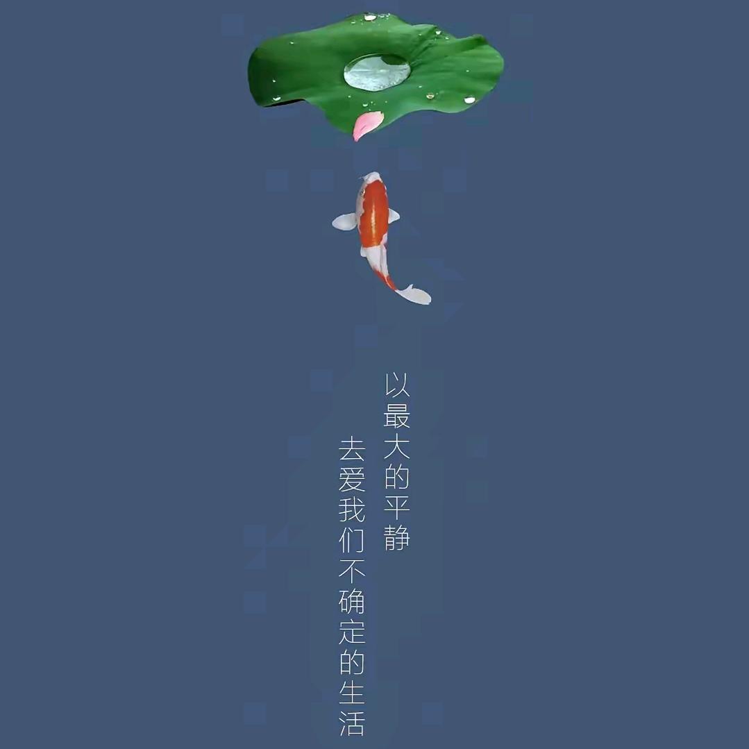 浅夏深秋