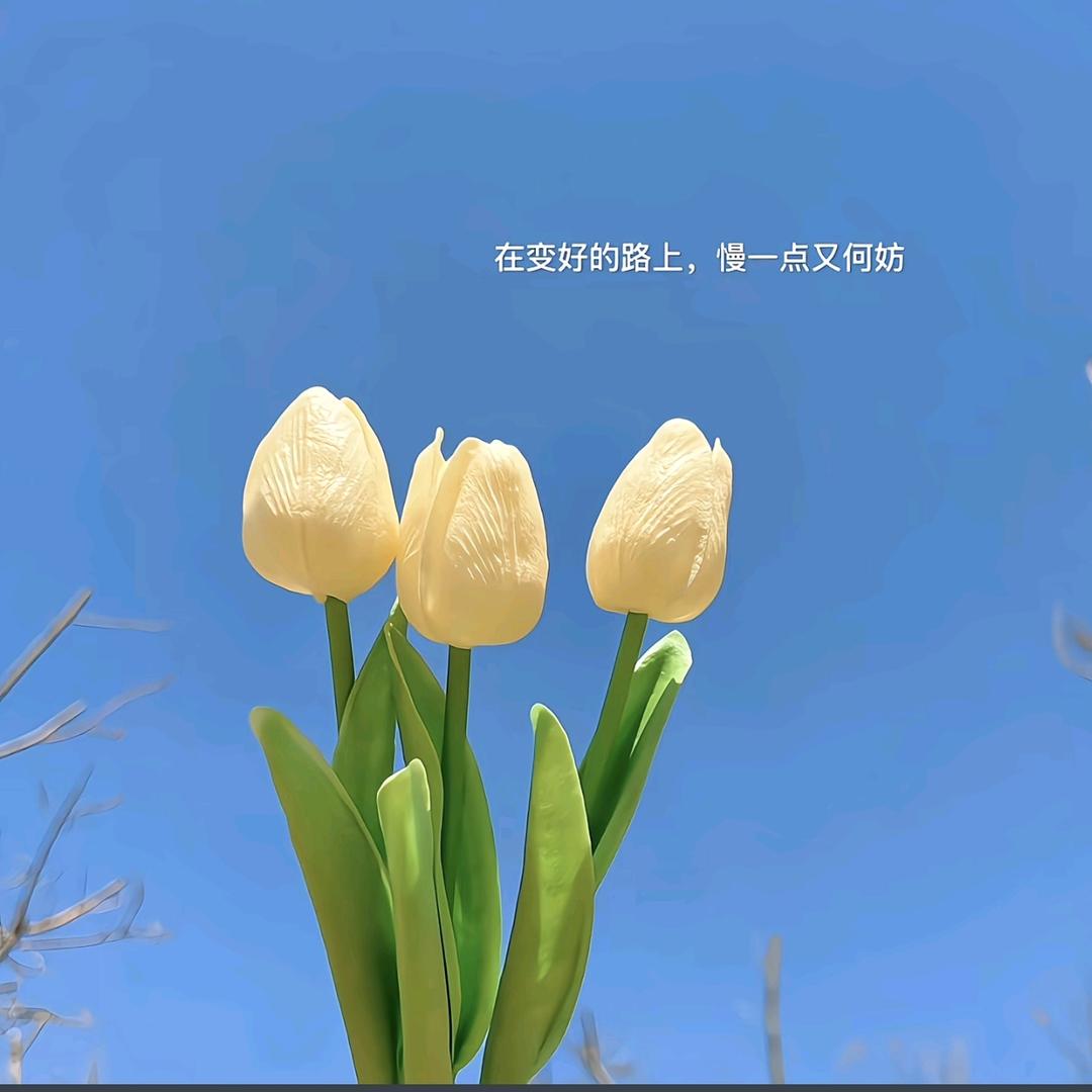 玖玥