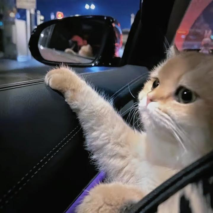 ~~