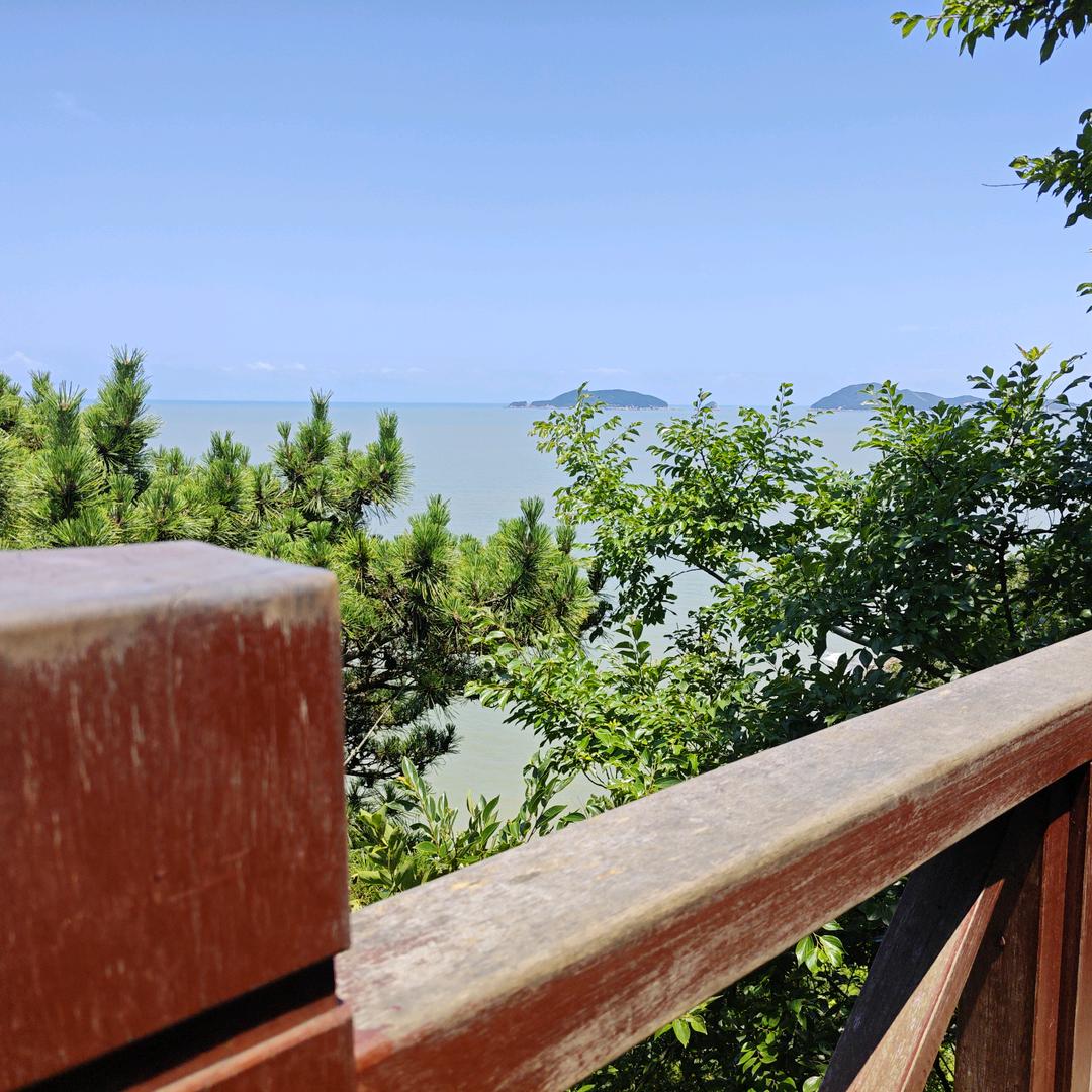 一帆风顺🌞