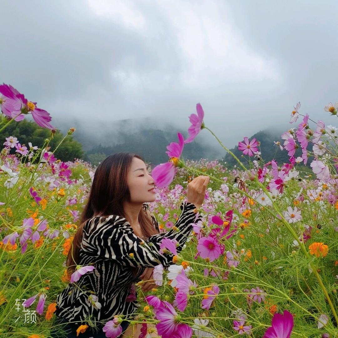 @樱子