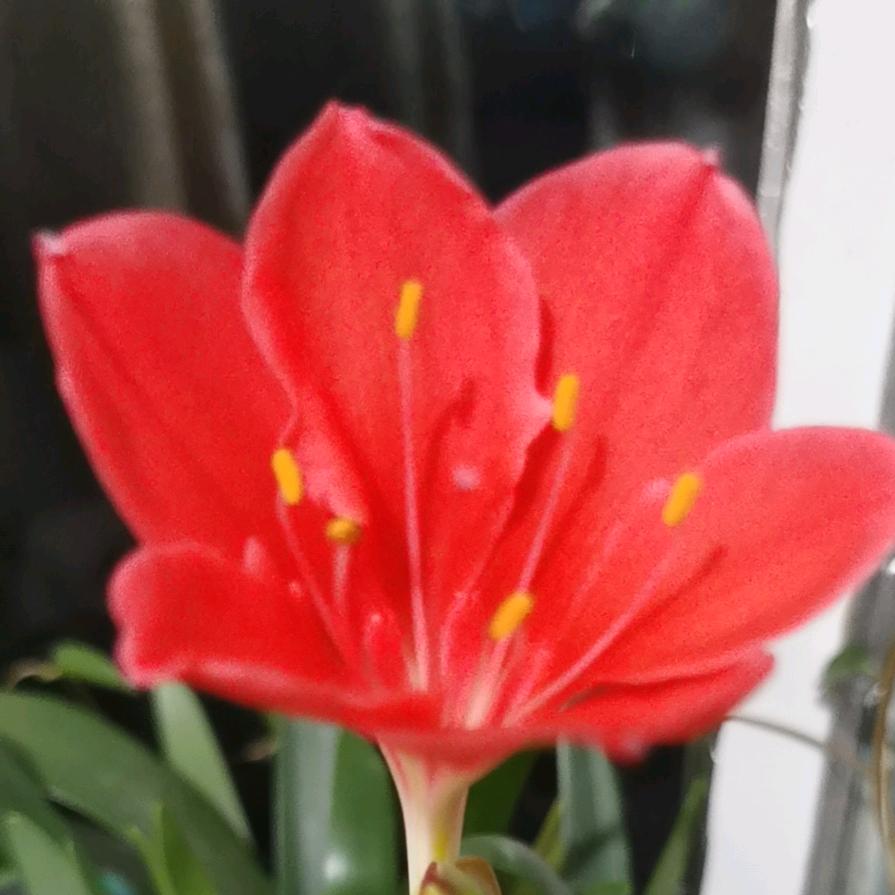 珍惜🌸🌸🌸