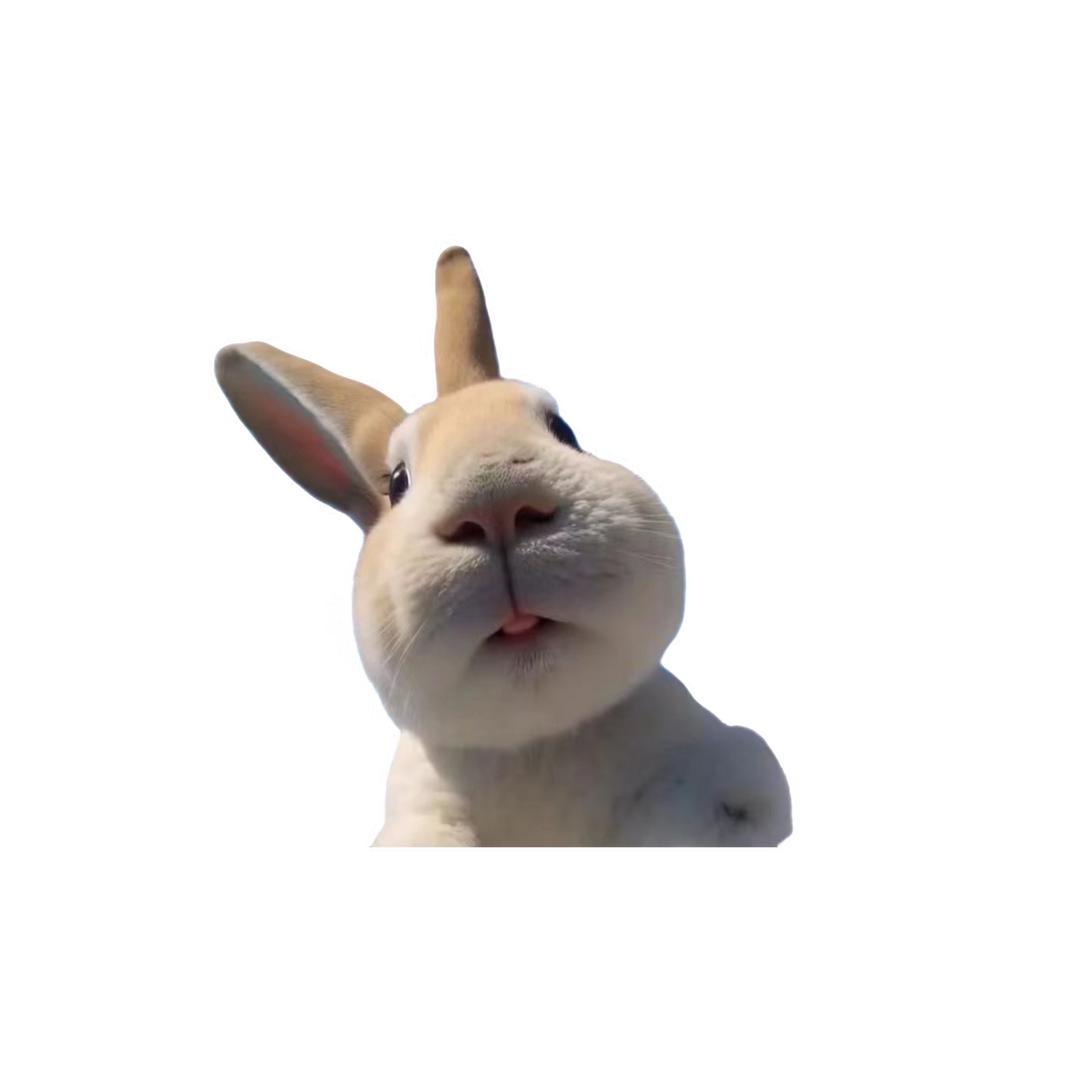 奇趣动物说