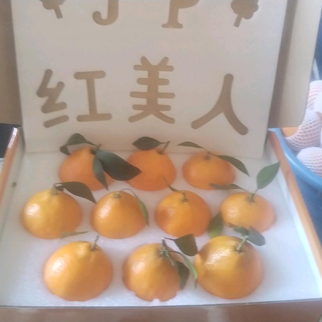 红美人温州
