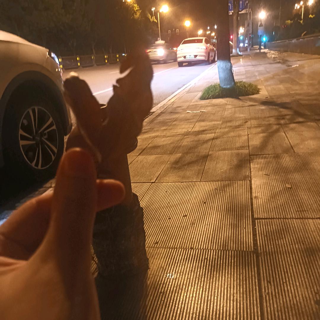 面瘫老六