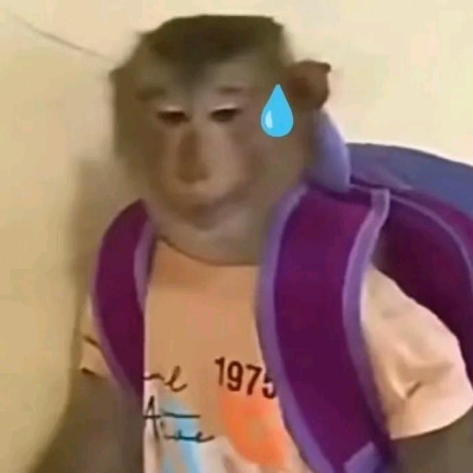 源同学