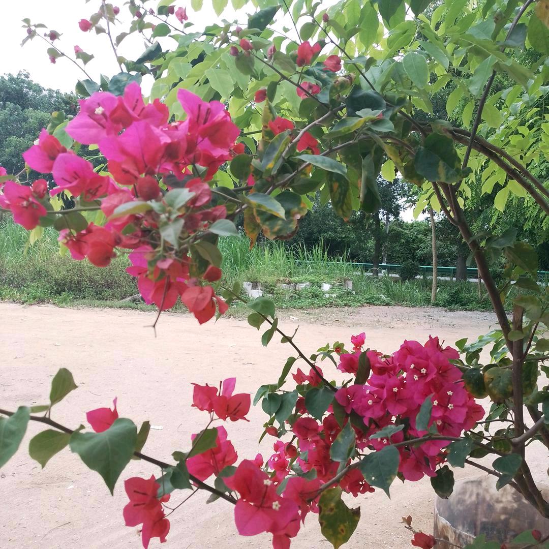 缘来有你