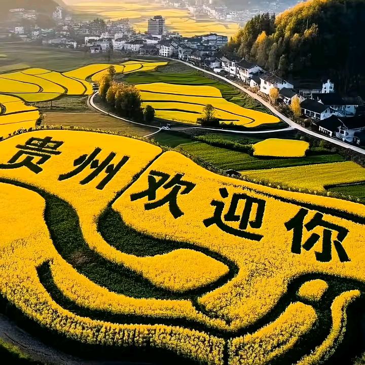 专业维修各类门窗
