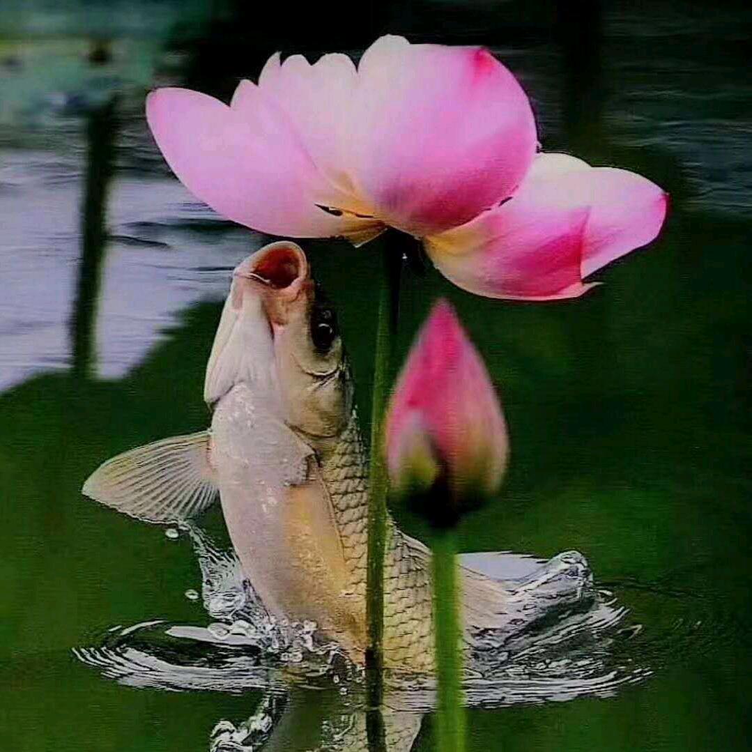 5559