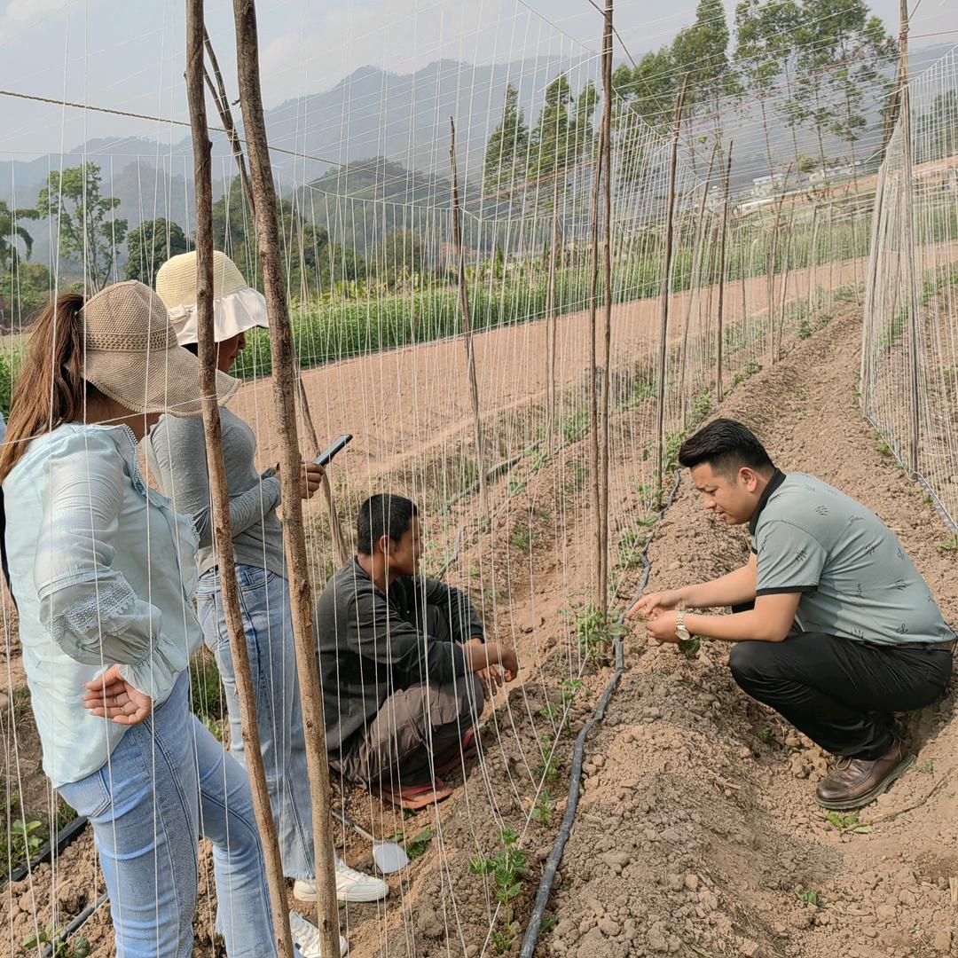 量子一号方案技术平台