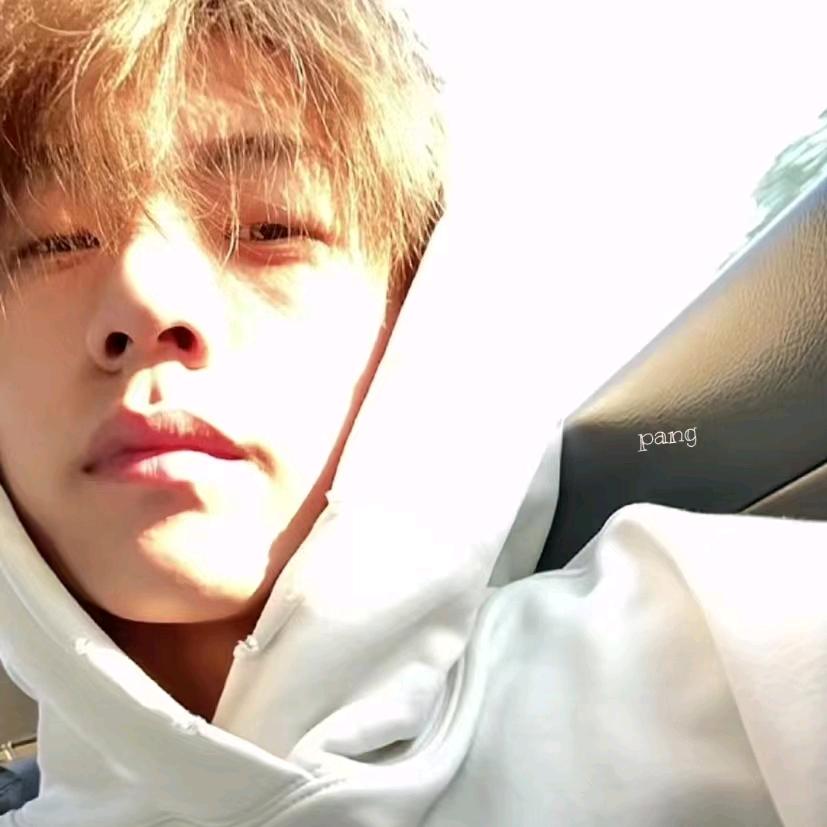 🌈城南花已开ˡ