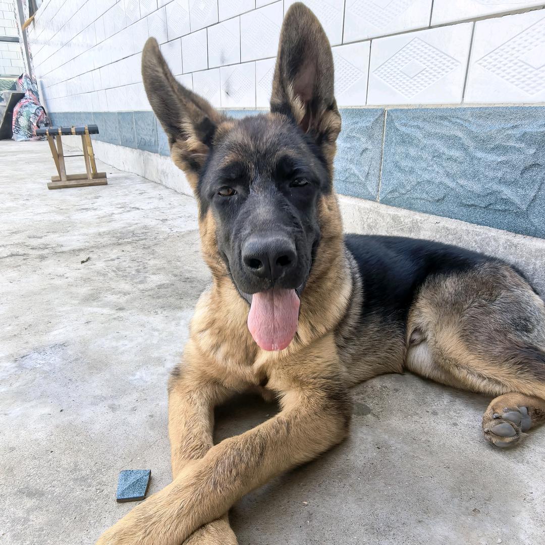 闹闹不孬૮ ⚆⚆ა