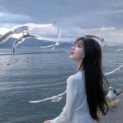 莹
