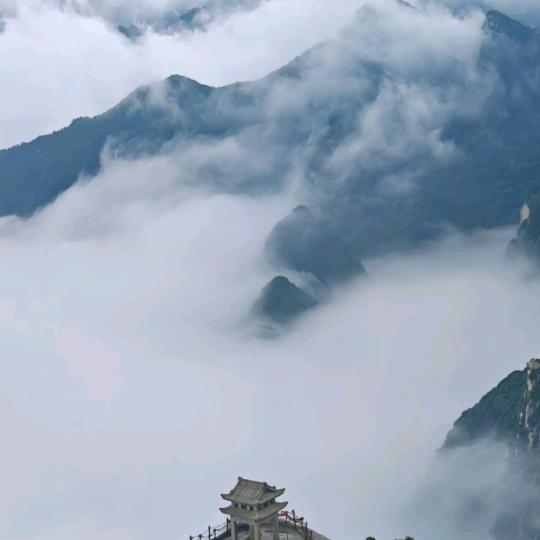 小卫