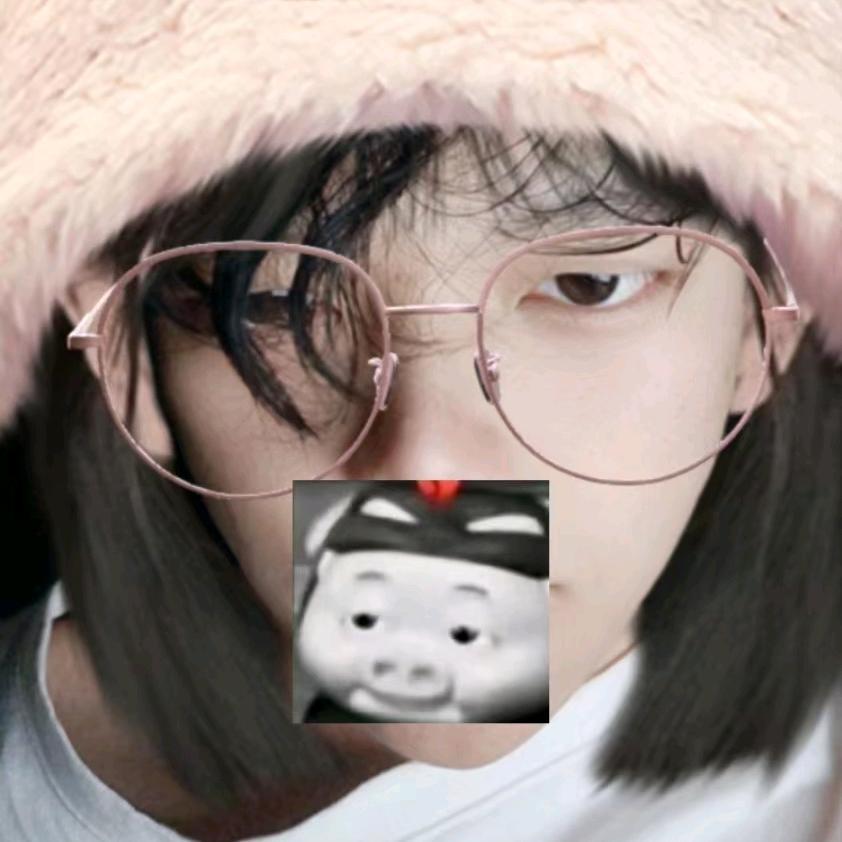 阿比斯圣骑士