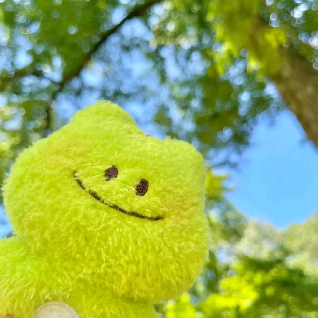 不穿苦茶子