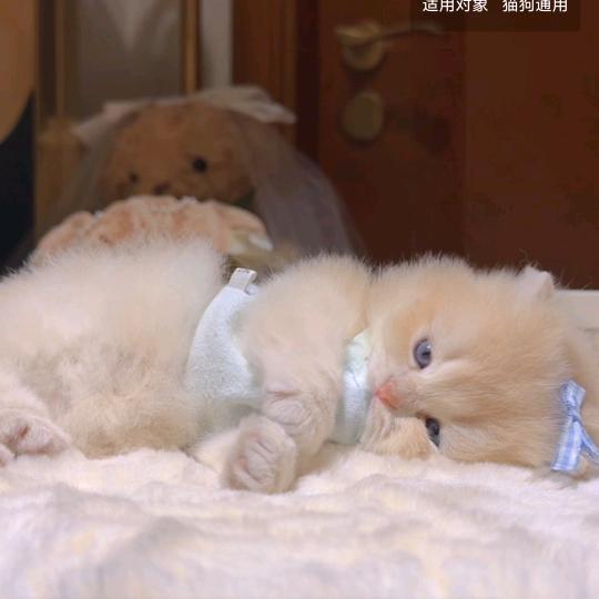 哈哈哈哈哈