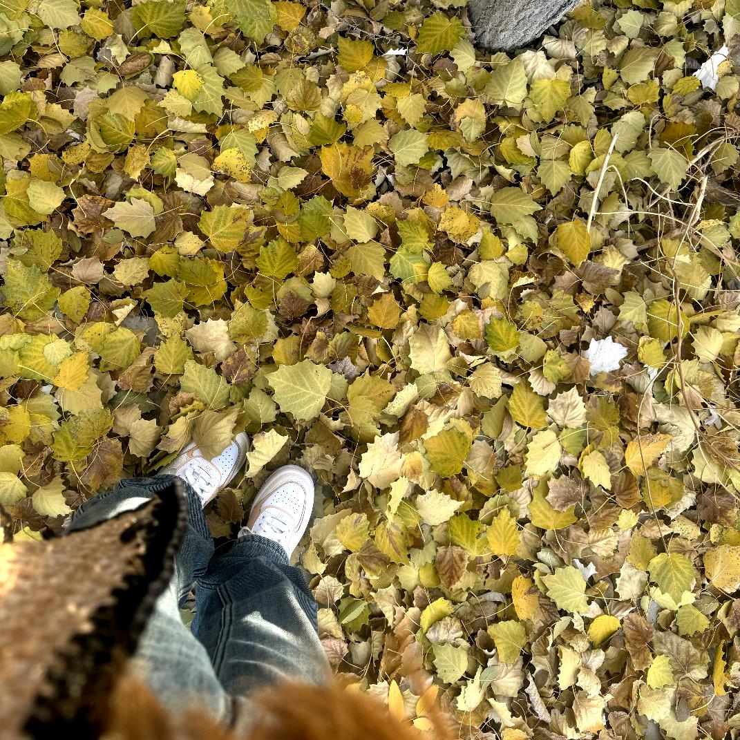 ❤️-月半团子-❤️