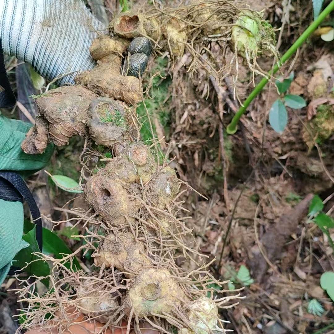 不务正业（请勿连赞）