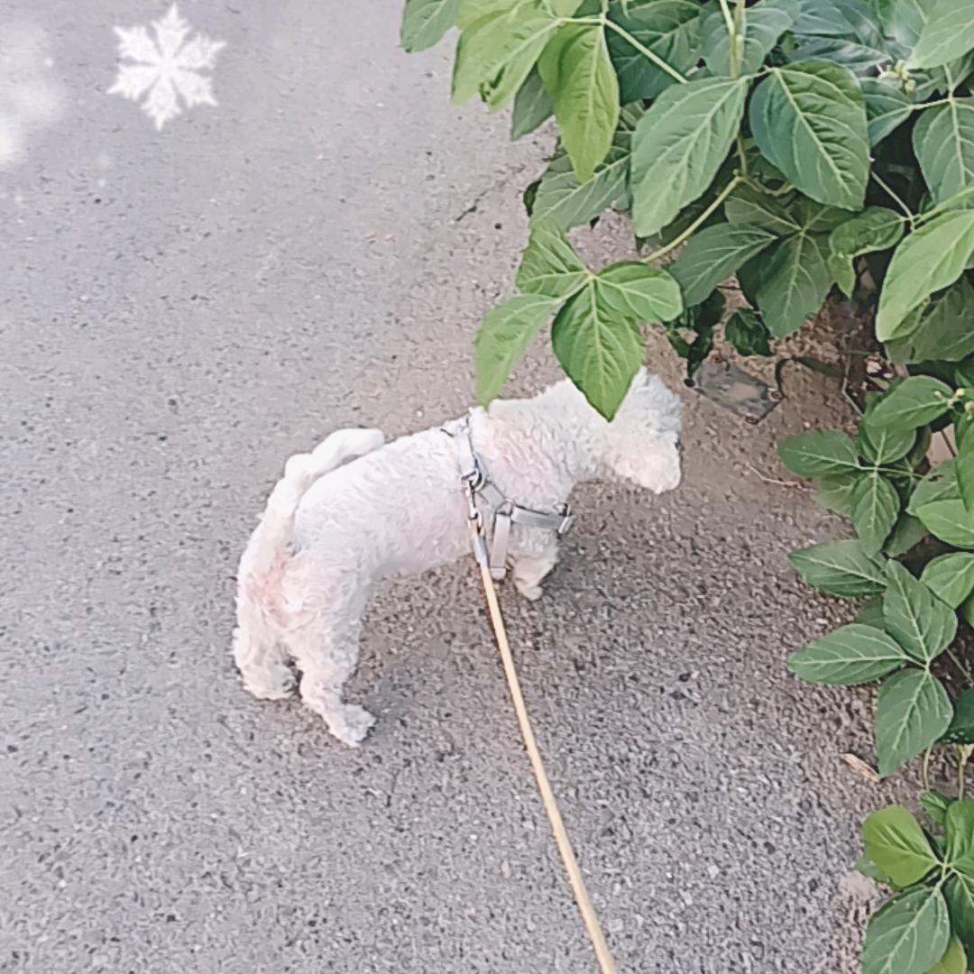 （曹秀君）不忘初心