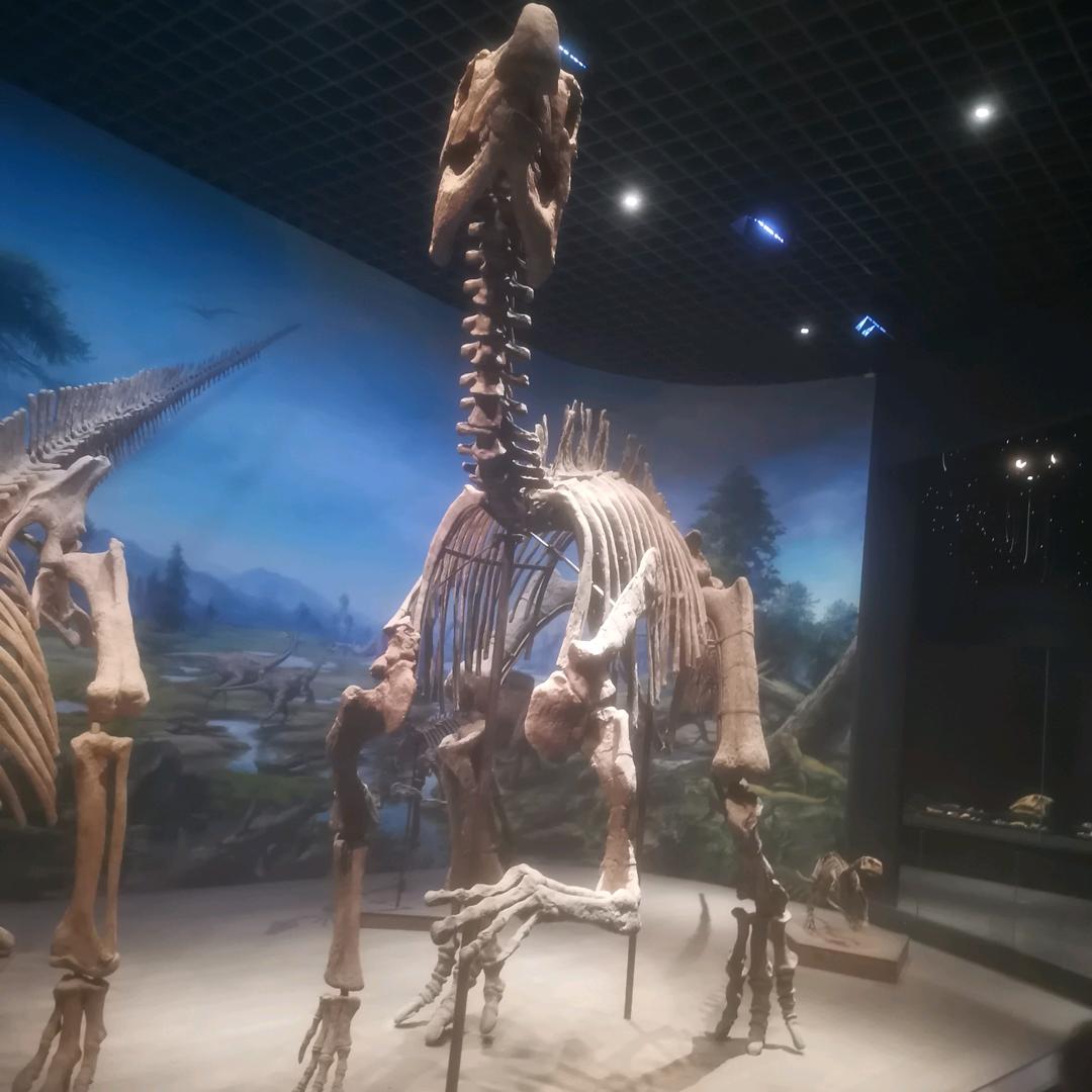 墨染轩女装工厂店