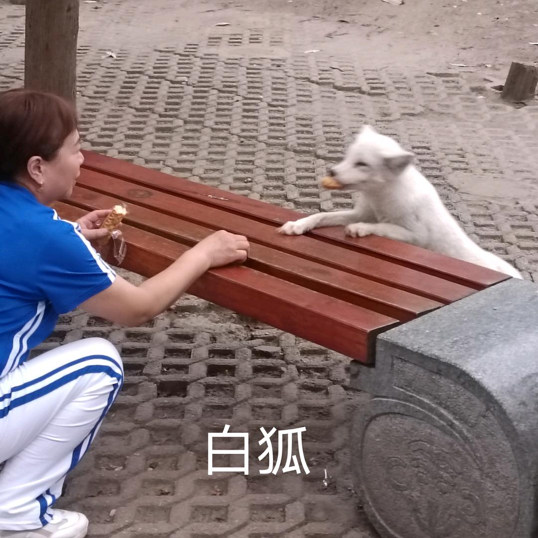 梅子郑楼联发超市