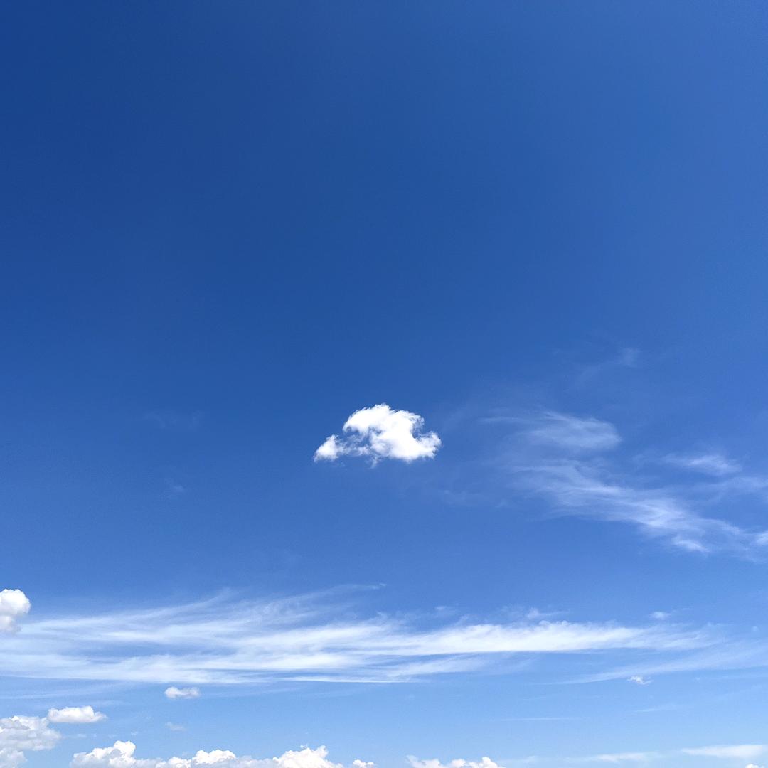辻弎🤗