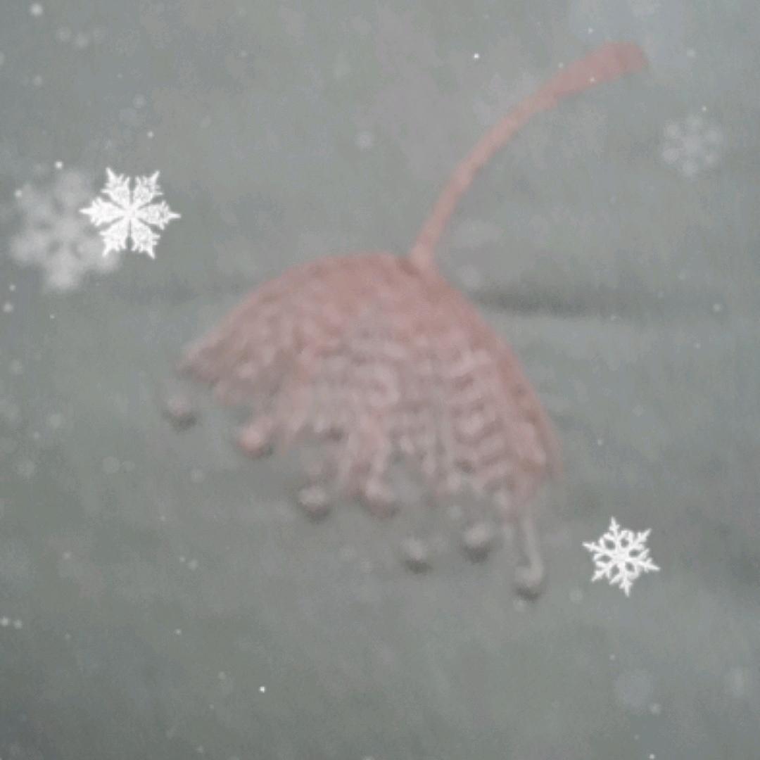 用户3092971015924