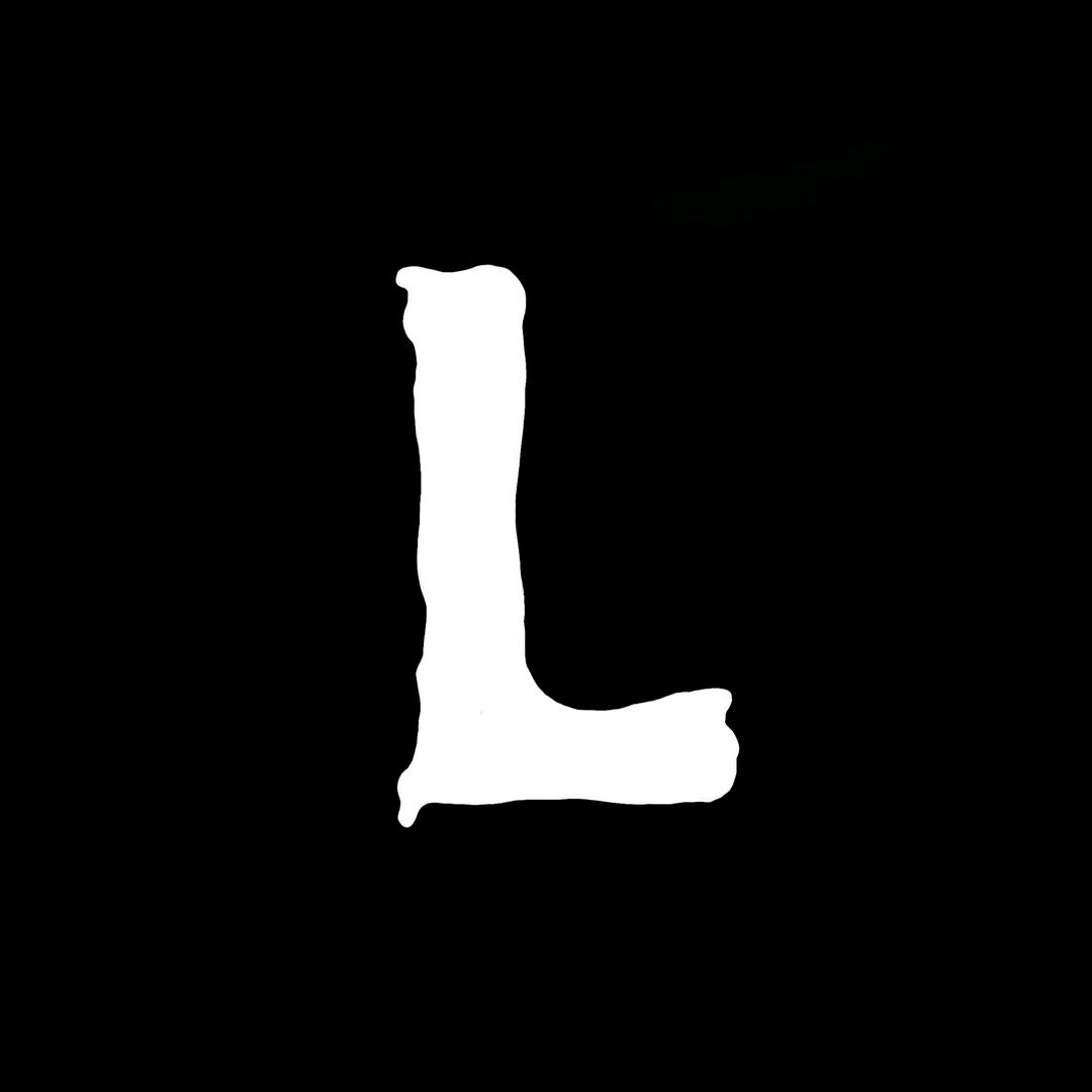 L的拍车日志