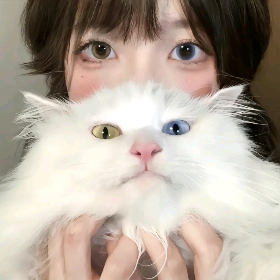十贰月r