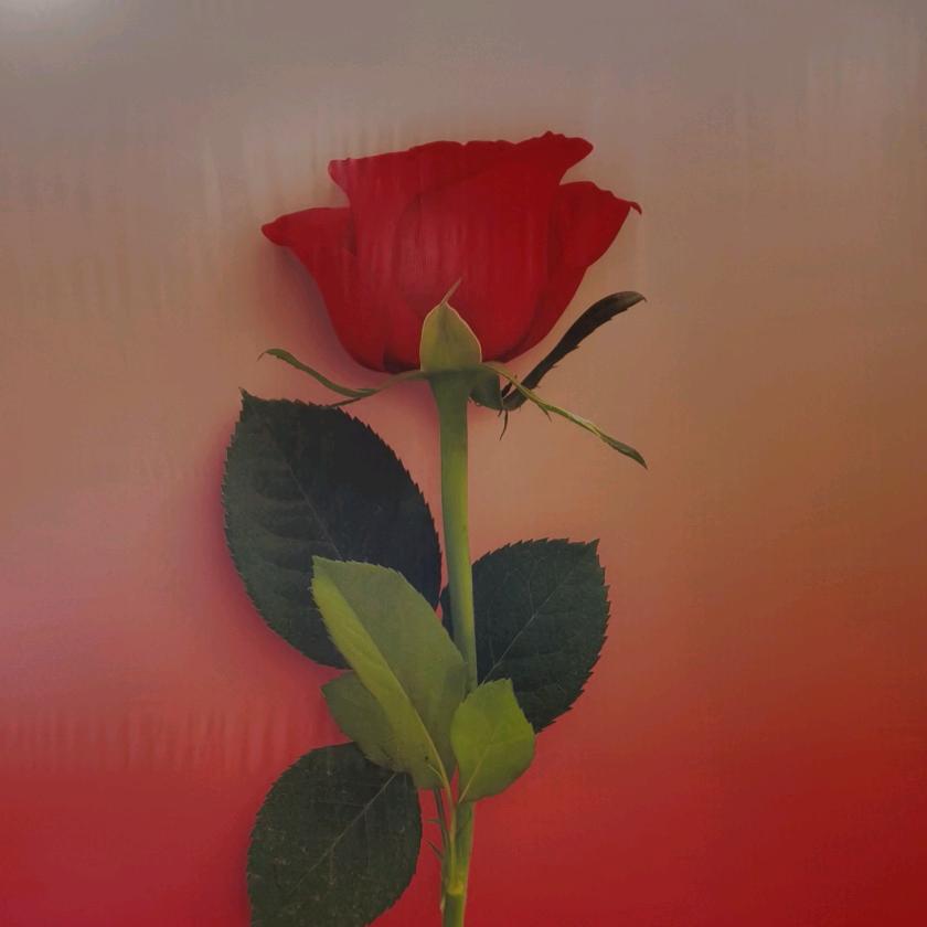 @80 90 解压大合唱