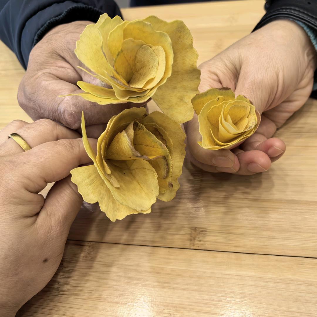 "淡然一笑如花绽放