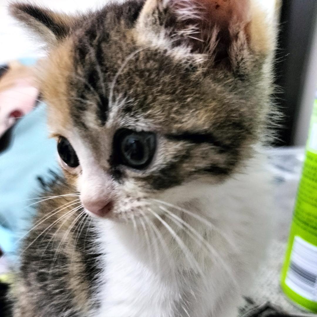 我只是太在乎你而已