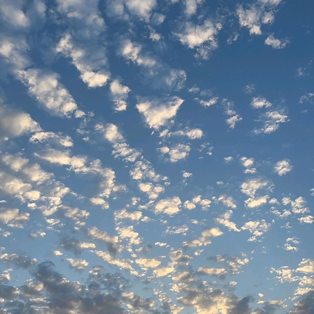 对方正在输入中…………