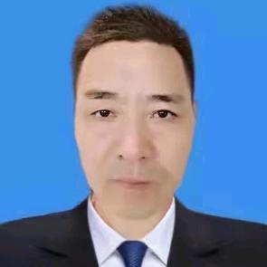 流浪猫