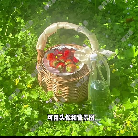 东有蓬莱