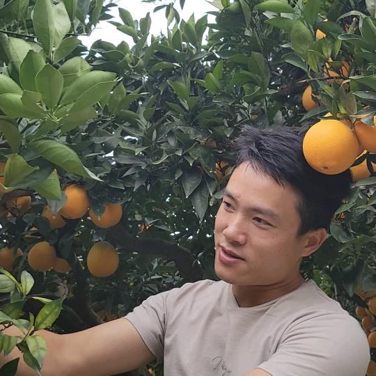 凌宝农特产