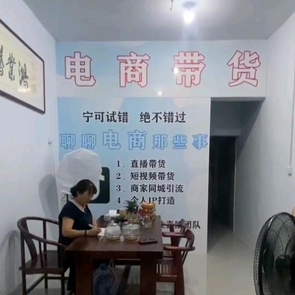 电商丽萍