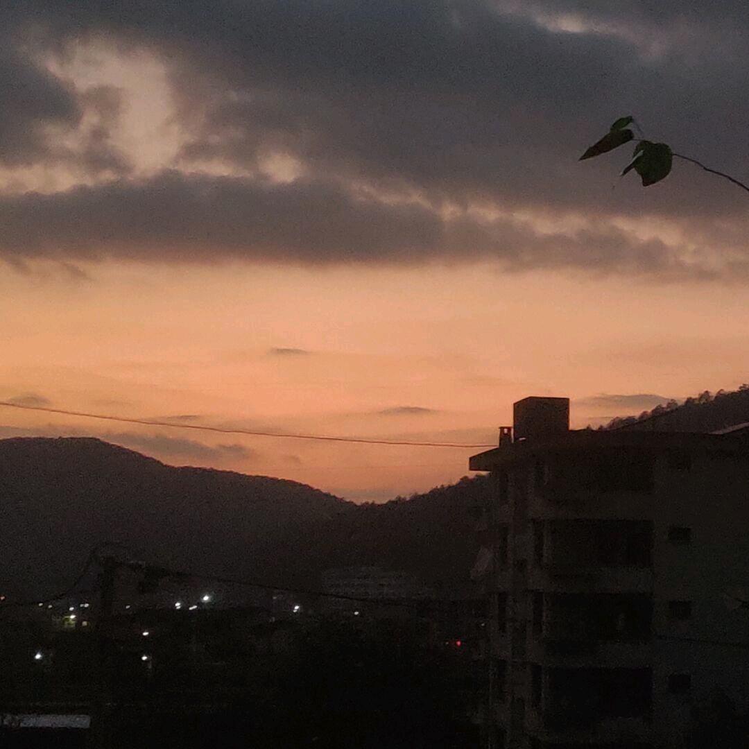 夕晨相惜